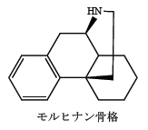 解説画像